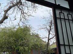 -西安碑林博物馆
