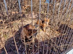 -鄂尔多斯野生动物园