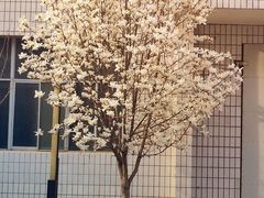 -山西大学(大东关校区)