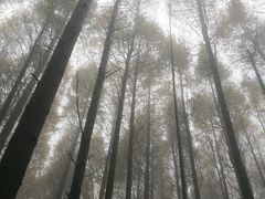 -山王坪喀斯特国家生态公园