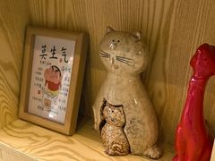 -芭比堂动物医院·心脏科·老年急重症·夜诊·吉雅分院