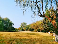 -柳浪闻莺公园