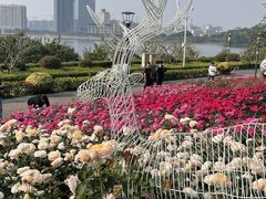 -立新湖公园