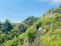 -大岭沟猕猴桃谷风景区