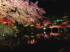 -醍醐寺