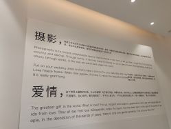 -鱼映像摄影·珍藏级影像品牌