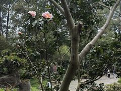 -南山植物园