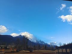 -蘑统田下·野生菌火锅