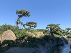 -罗红摄影艺术馆