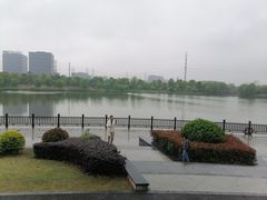 -九科绿洲
