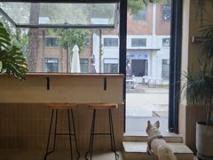 -小意思咖啡店(草桥店)