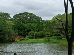 -东莞植物园