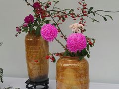 -重庆市江北嘴中央商务区中央公园