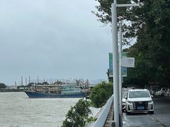 -大湾区中央湿地公园-十九涌