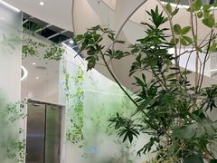 -大树餐厅(朝阳大悦城店)