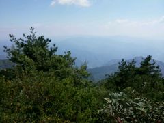 -王顺山国家森林公园