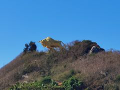 -三亚西岛海洋文化旅游区