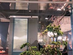 -老板恋上鱼(振华商厦店)