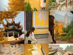 -正觉寺