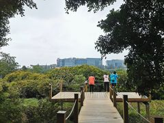 -华侨城湿地公园