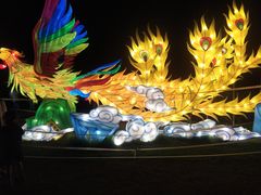 -昆山城市生态森林公园