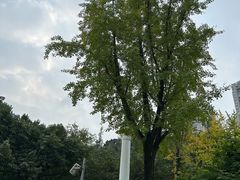-龙头寺公园