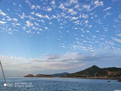 -枸杞岛