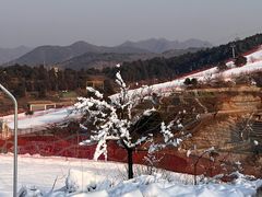 -蓟洲国际滑雪场