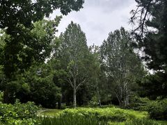 -国家植物园南园