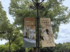 -上海野生动物园