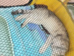 -万达广场(太原街店)