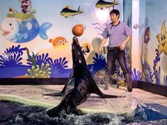 -太平洋海底世界