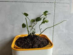 -亿牌牌东北烧烤(博物馆旗舰店)