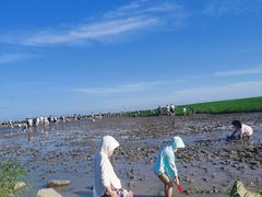 -南汇嘴观海公园