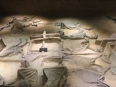 -洛阳周王城天子驾六博物馆