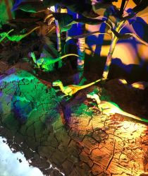 -恐龙探索乐园(磁器口店)