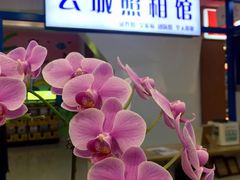 -云城照相馆(龙湖雨山天街店)