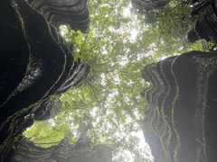 -梭布垭石林景区