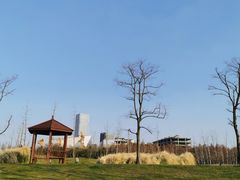 -上海山野camping·户外天幕烧烤·团建拓展营地