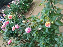 -人民公园(罗湖区)