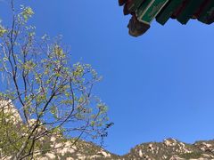 -北京凤凰岭