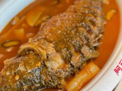 -阿五黄河大鲤鱼(纬三路店)