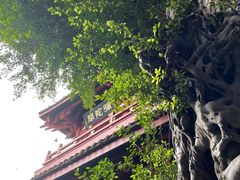 -叩齿古寺