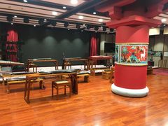 -中国宋庆龄青少年科技文化交流中心