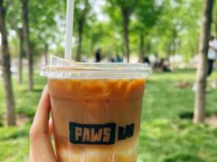 -爪吧宠物乐园 (温榆河示范区店)