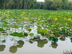 -西安浐灞国家湿地公园