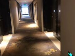-成都保利公园皇冠假日酒店(熊猫基地店)