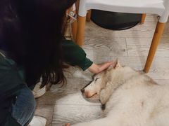 -小时光咖啡馆(北锣鼓巷店)