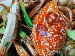 -板桥海鲜广场11排2号