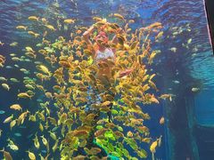 -海合安青岛极地海洋公园